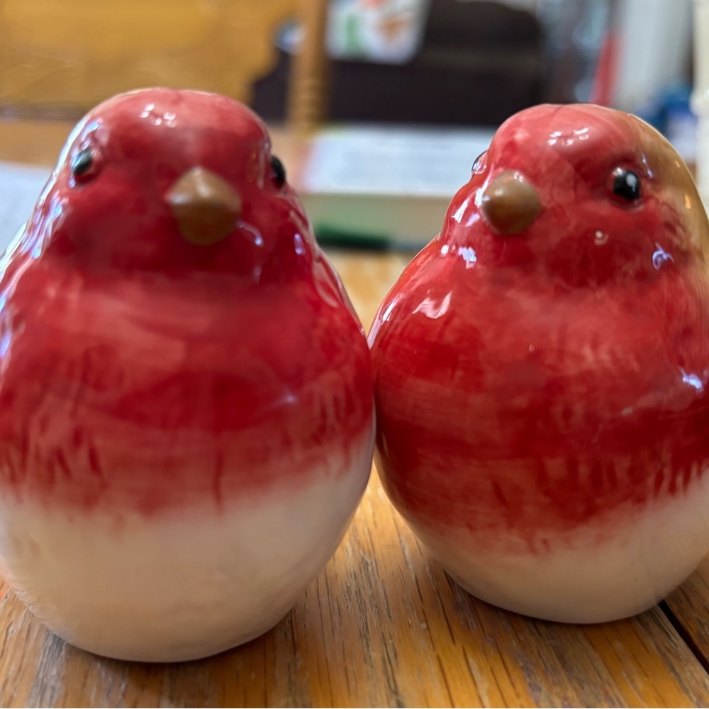 Red Ceramic Bird Figurine salt and pepper shakers